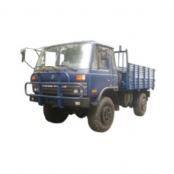 Dongfeng AWD 4x4 Off Road Light Duty Lorry Cargo Truck For Africa